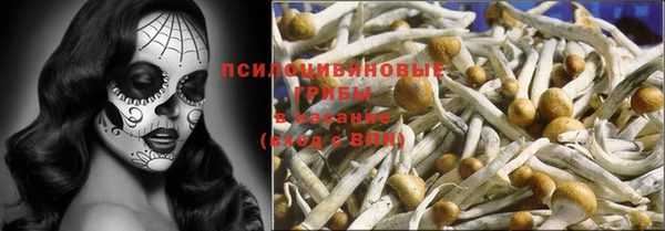 мескалин Богородицк