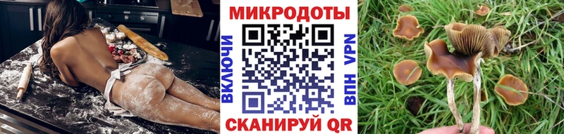 hydra ТОР  Гусев  Галлюциногенные грибы Cubensis  даркнет сайт 